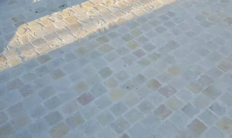 Fossil Mint Sandstone Cobble Setts