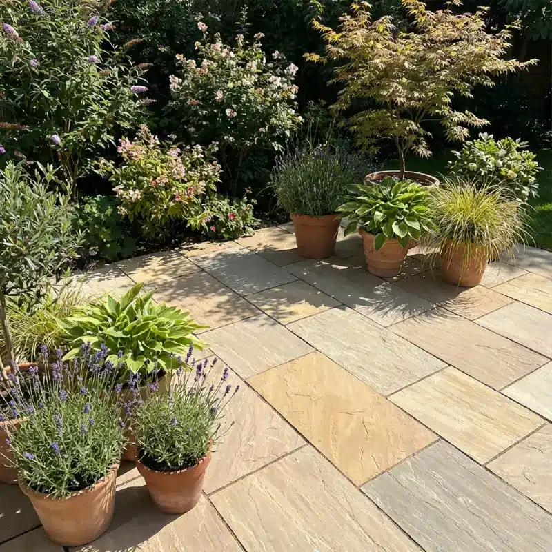 Camel Buff Sandstone paving slabs 100x100mm sample